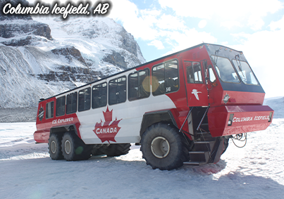 placeholder image-sq