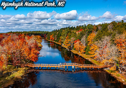 placeholder image-sq