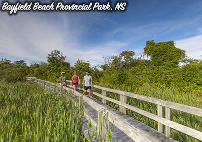 placeholder image-sq