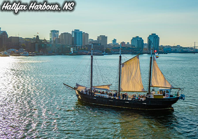 placeholder image-sq