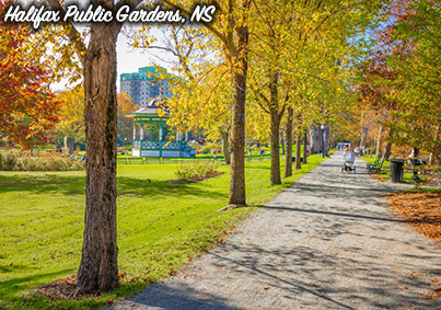 placeholder image-sq