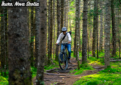 placeholder image-sq