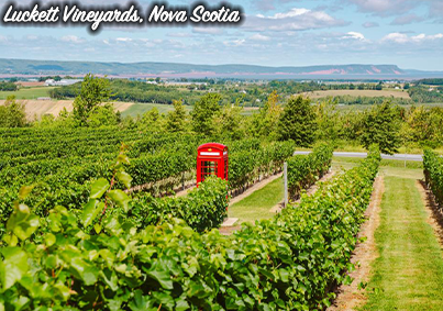 placeholder image-sq