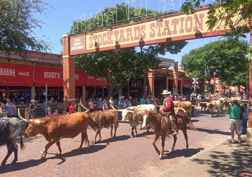 texas triangle holiday